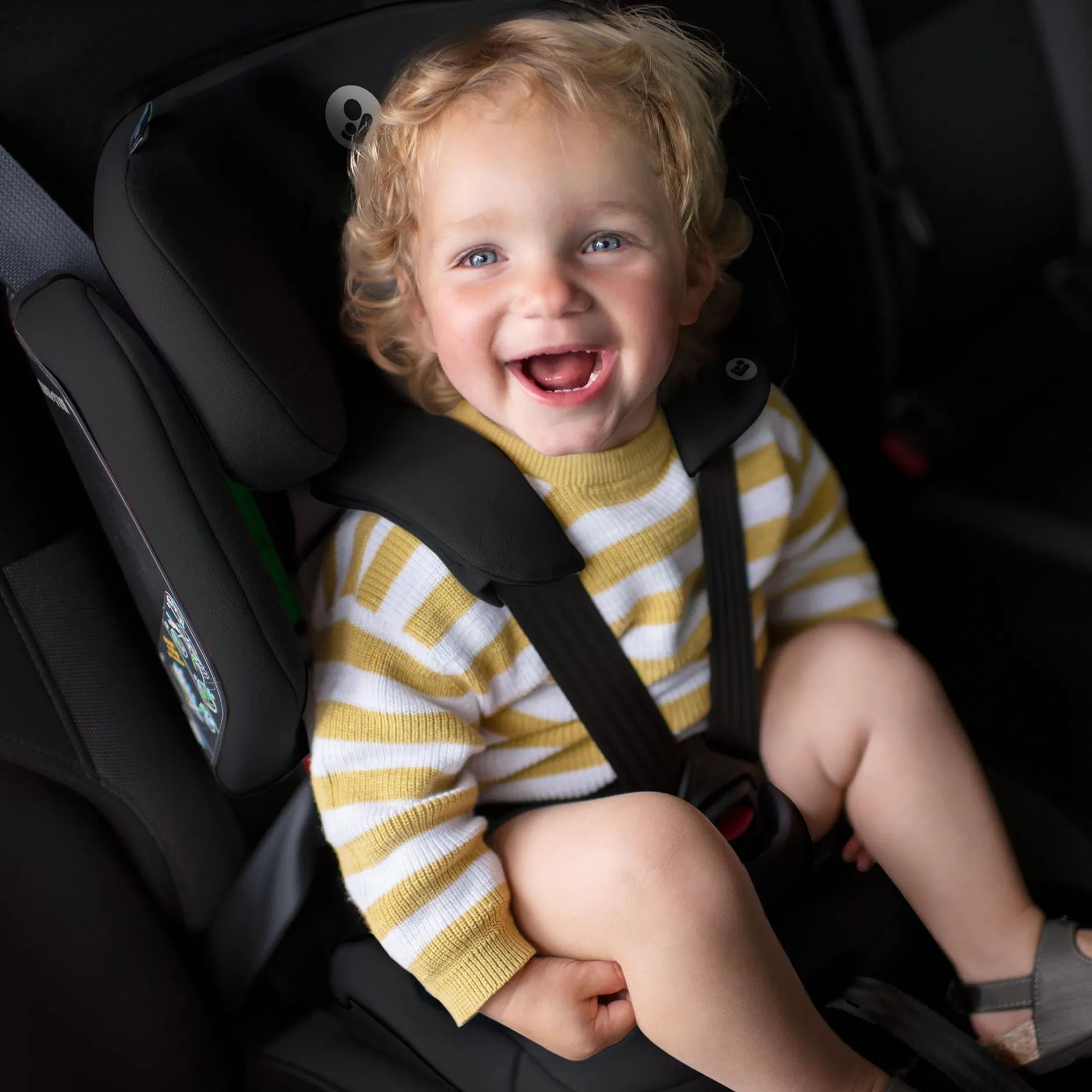 MAXI-COSI Nomad XL Plus*Kinder Kindersitze 9-36 Kg, Gruppe 1/2/3