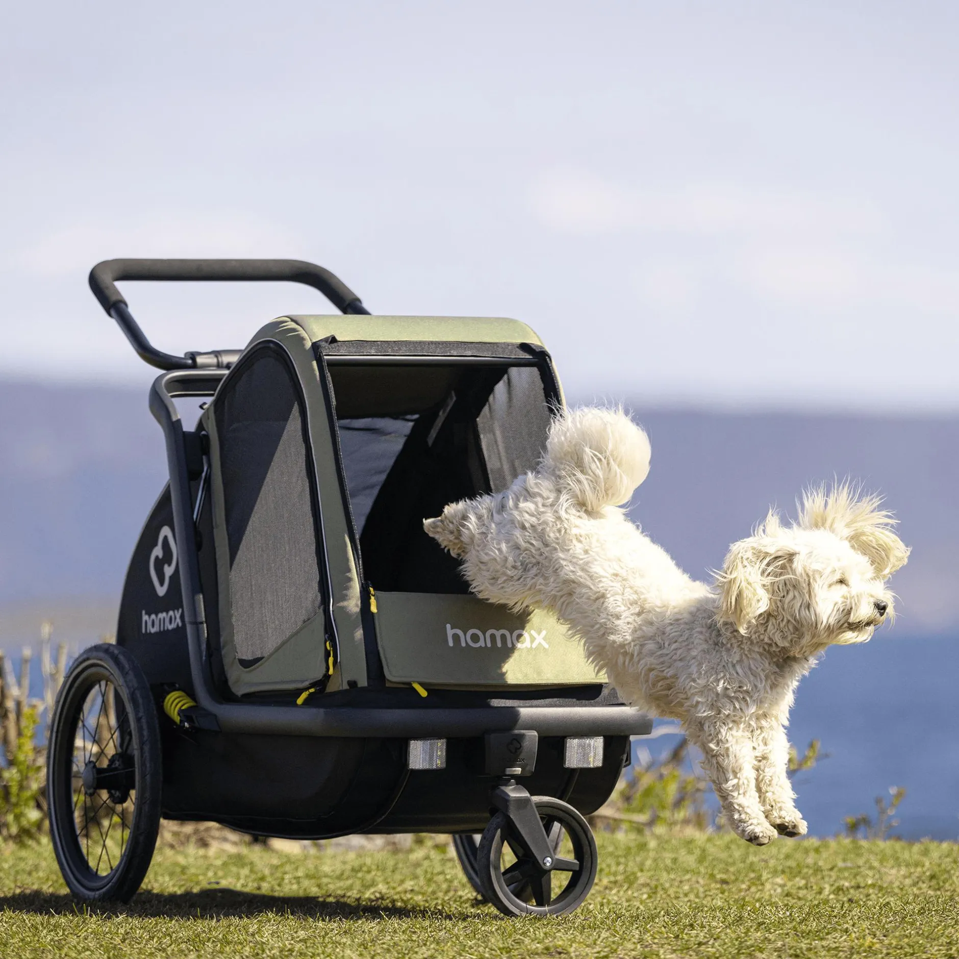 hamax Pluto M Hundefahrradanhänger* Fahrradanhänger