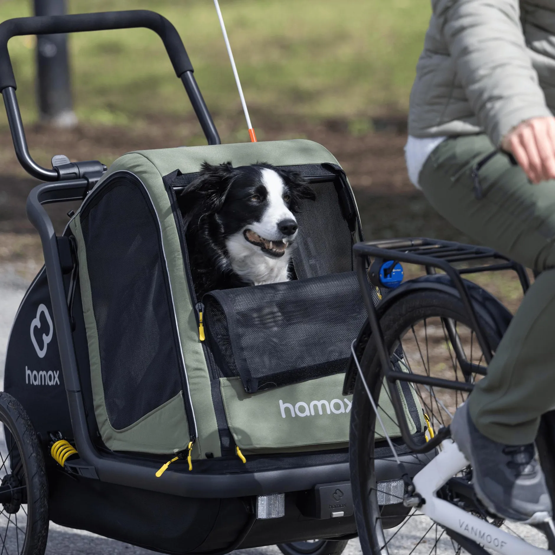 hamax Pluto M Hundefahrradanhänger* Fahrradanhänger