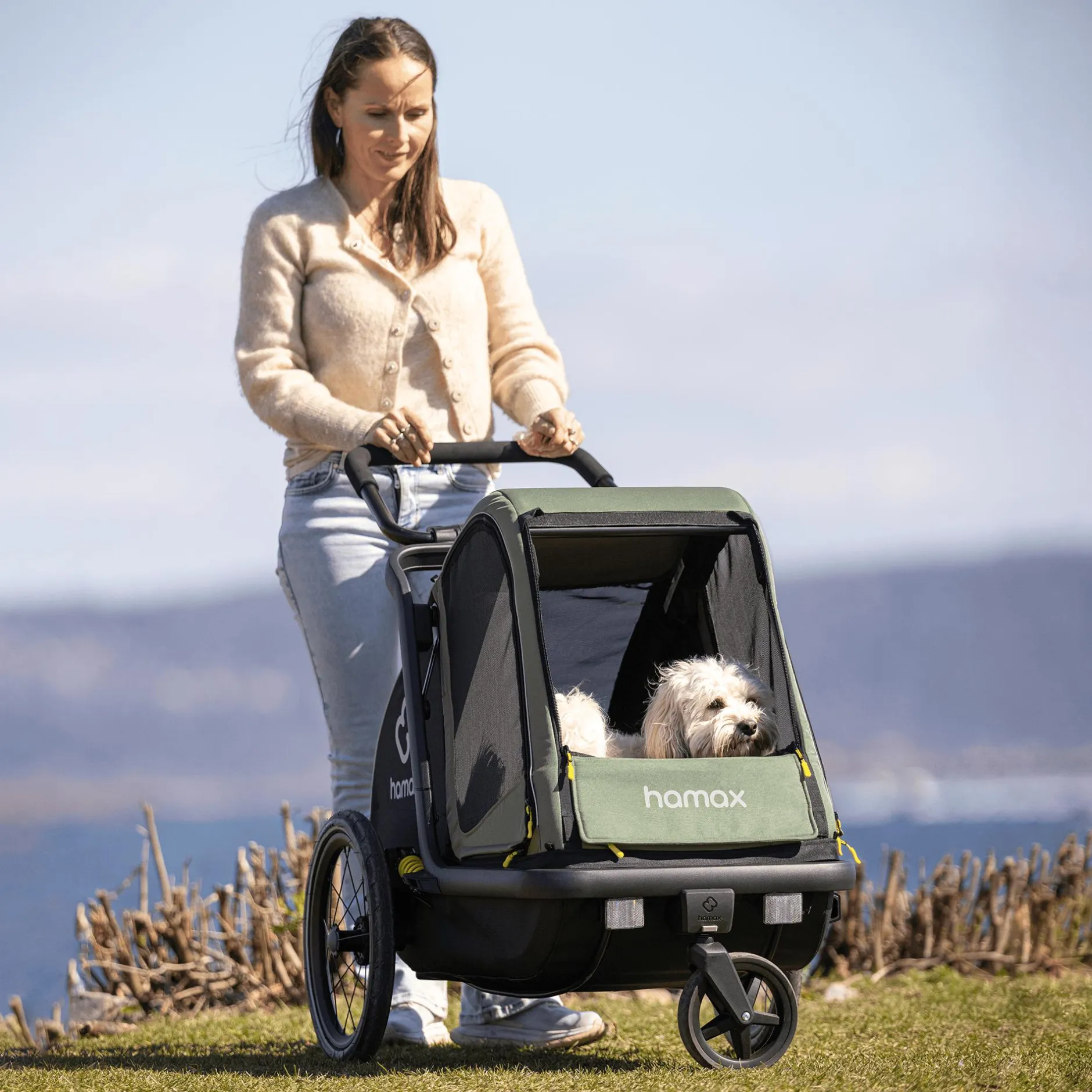 hamax Pluto M Hundefahrradanhänger* Fahrradanhänger