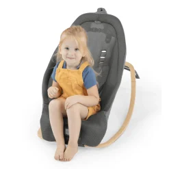 ingenuity Schaukelstuhl Every Season™ - Wesley™* Wippen
