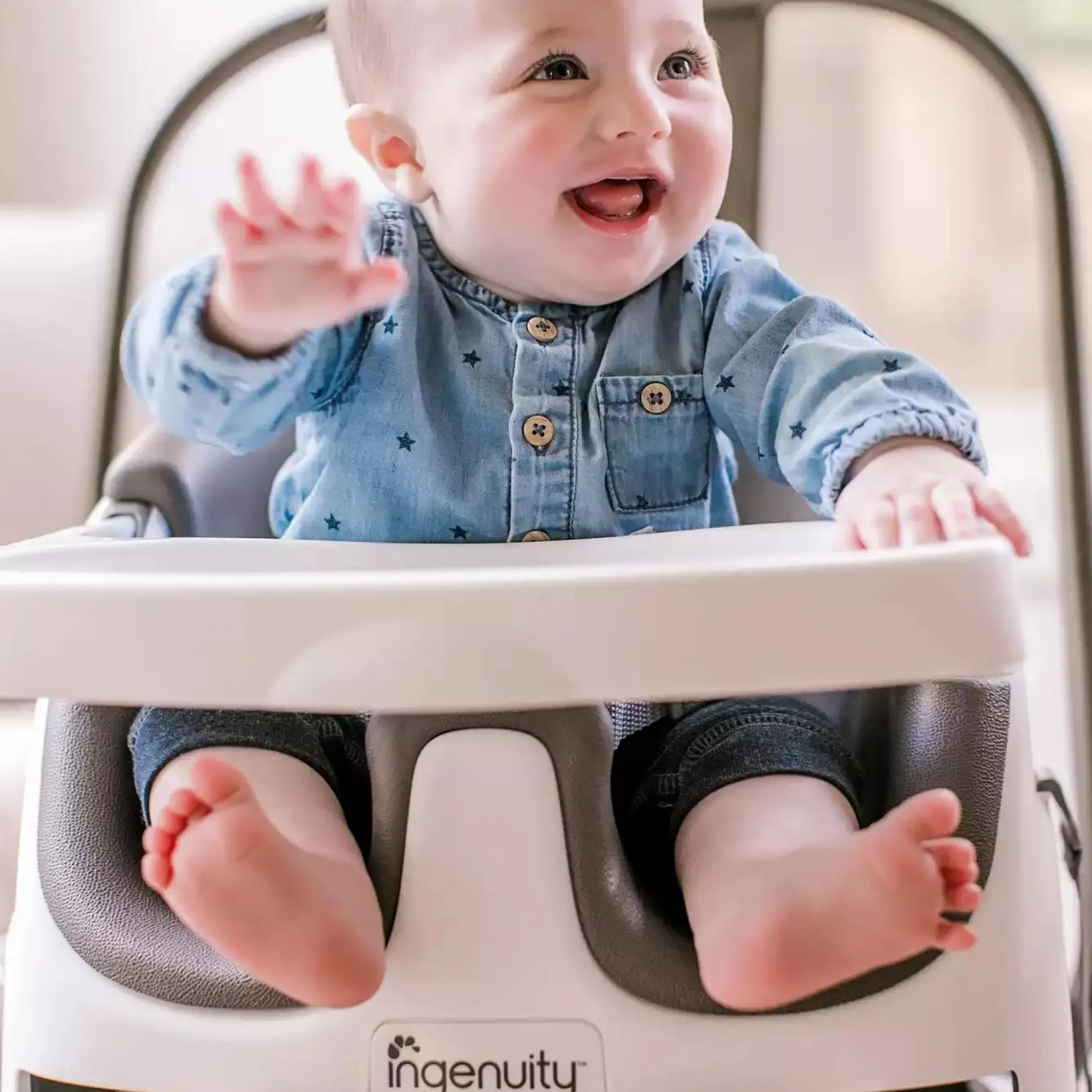 ingenuity Sitzerhöhung Baby Base 2-in-1* Reisehochstühle