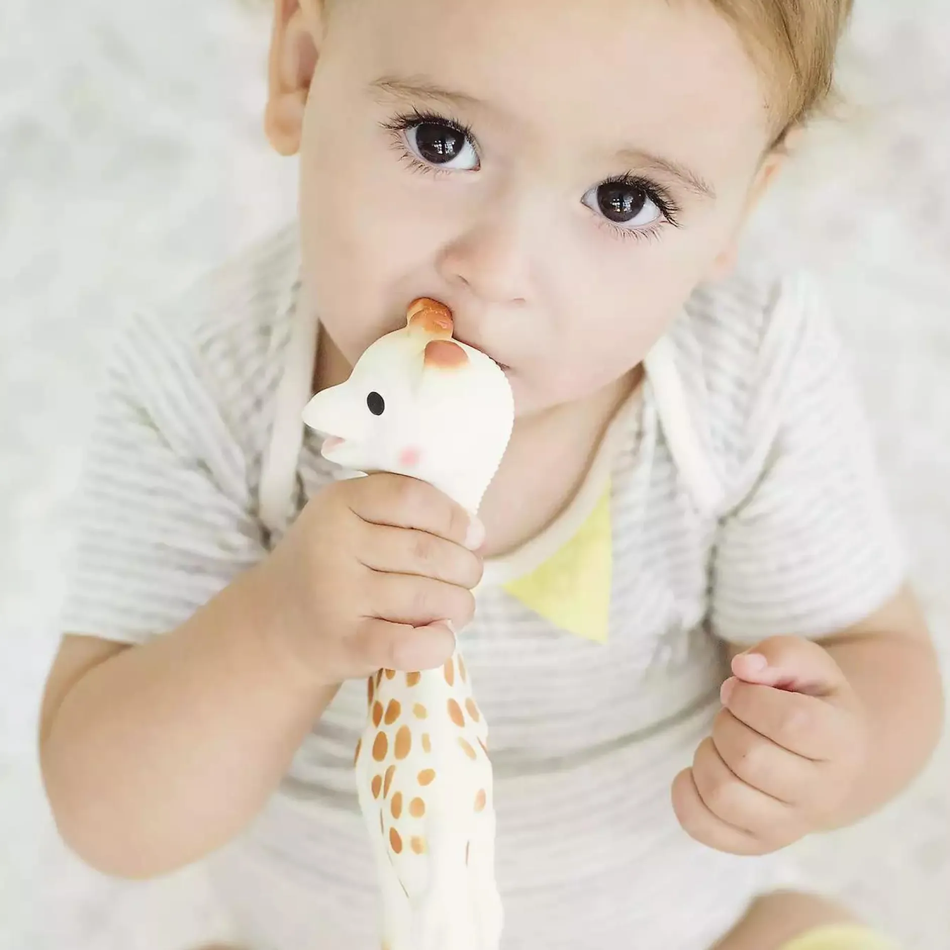 SOPHIE GIRAFE Sophie la Girafe* Rasseln & Greiflinge