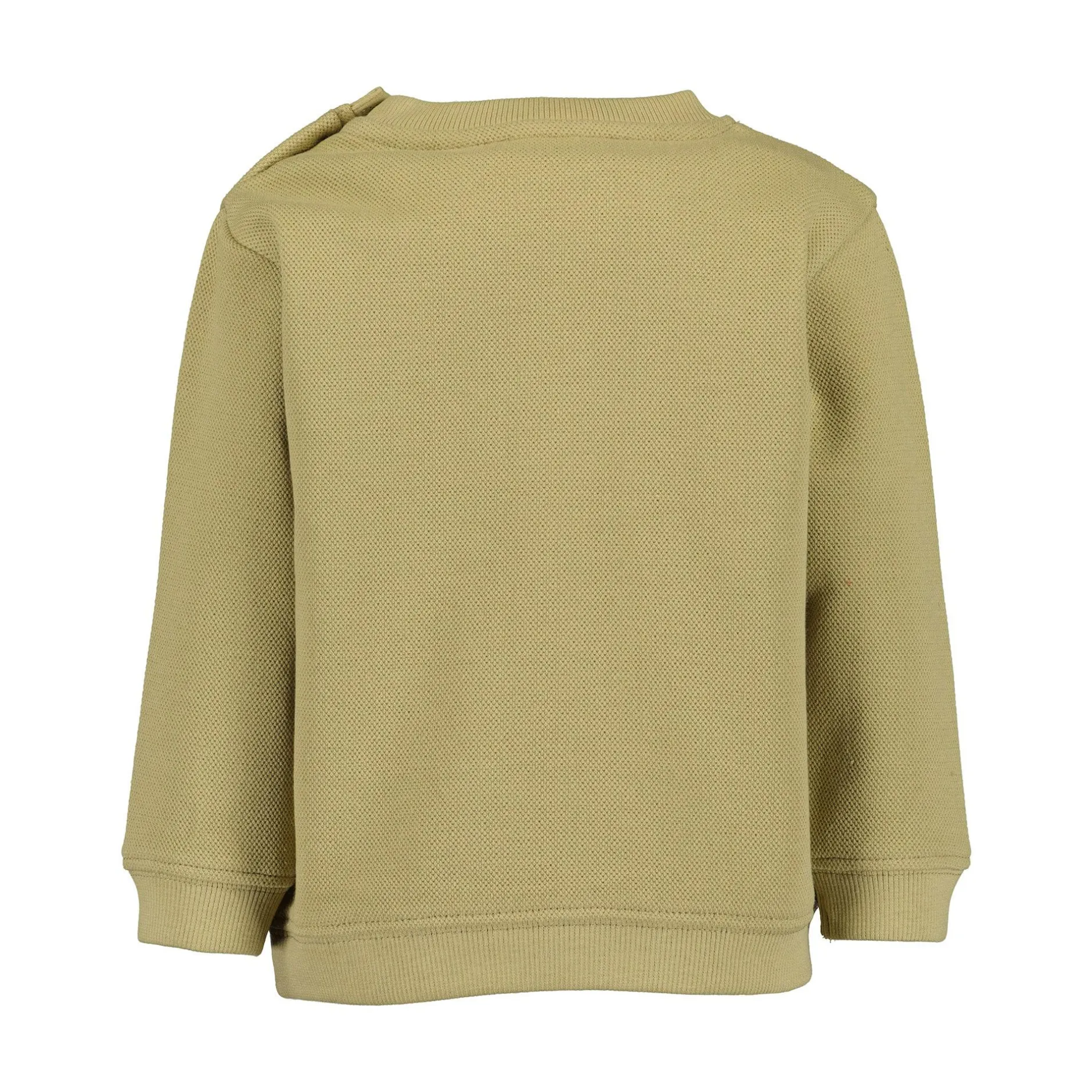 blue seven Sweatshirt Ottergesicht* Oberteile