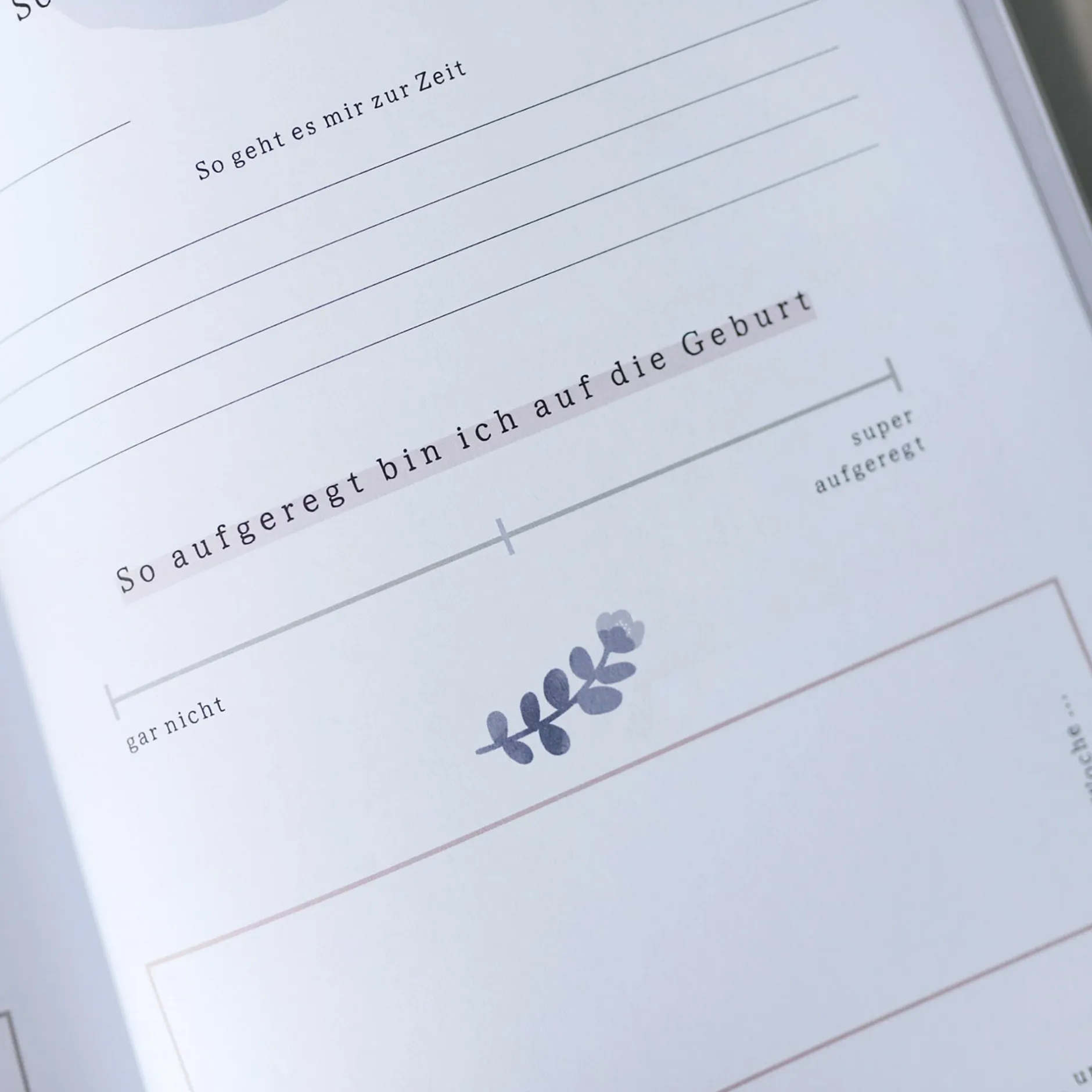 Odernichtoderdoch Tagebuch Meine Schwangerschaft*Kinder Kinderbücher