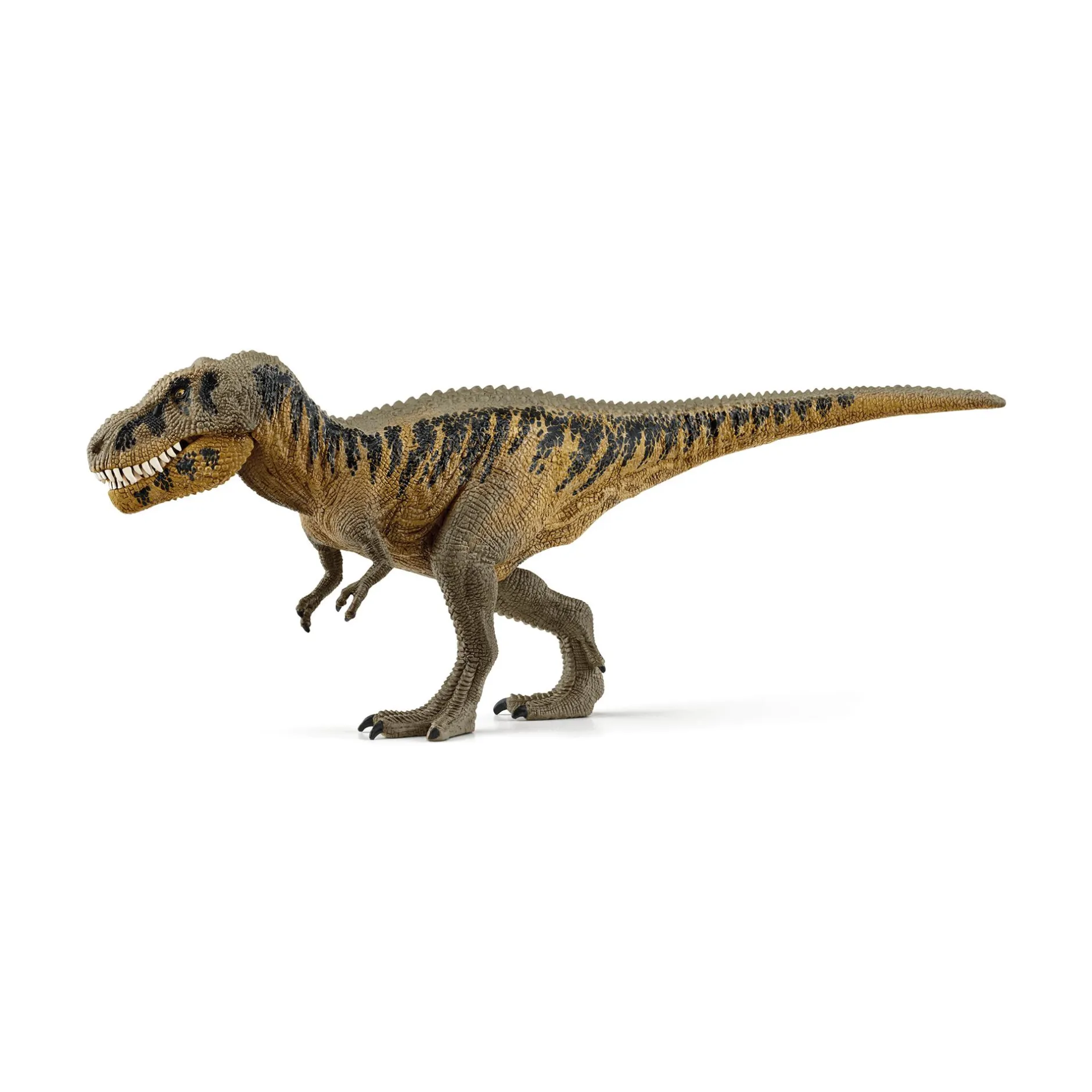Schleich Tarbosaurus*Kinder Lernspielzeug|Spielzeug Ab 4 Jahren