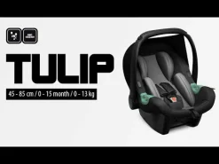 ABC DESIGN Tulip i-Size Black*Kinder Babyschalen 0-13 Kg, Gruppe 0+