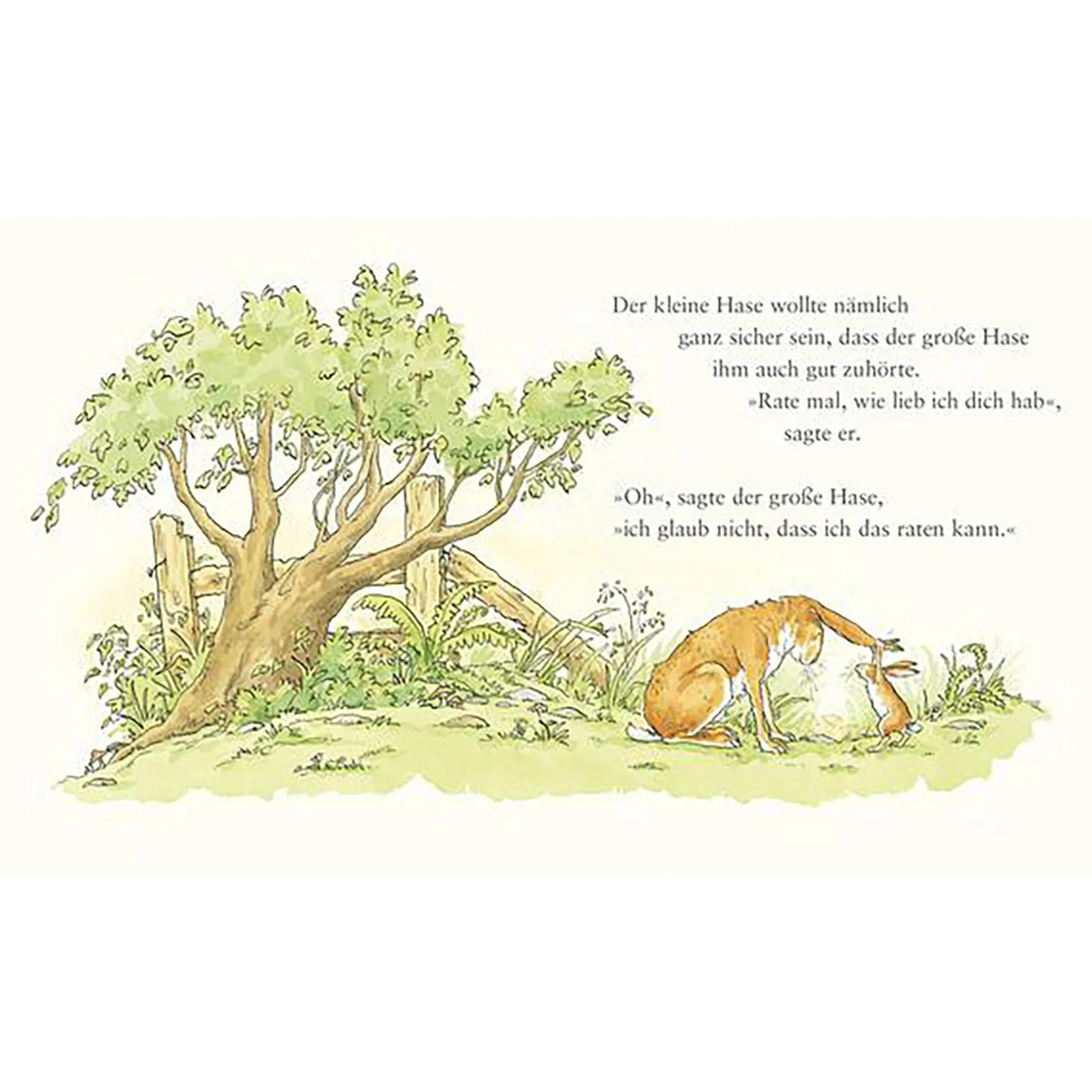 Sauerl. Verlag t du eigentlich wie lieb ich dich hab?*Kinder Kinderbücher