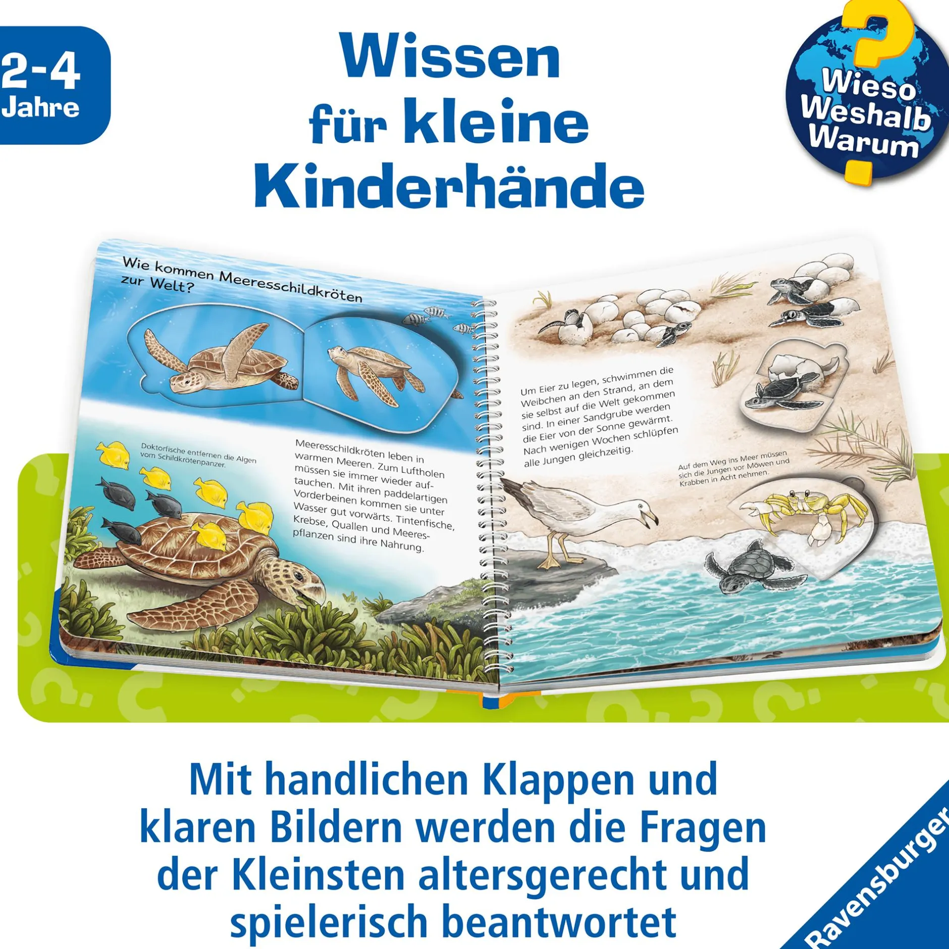 Ravensburger Wieso? Weshalb? Warum? Die Ozeane*Kinder Kinderbücher