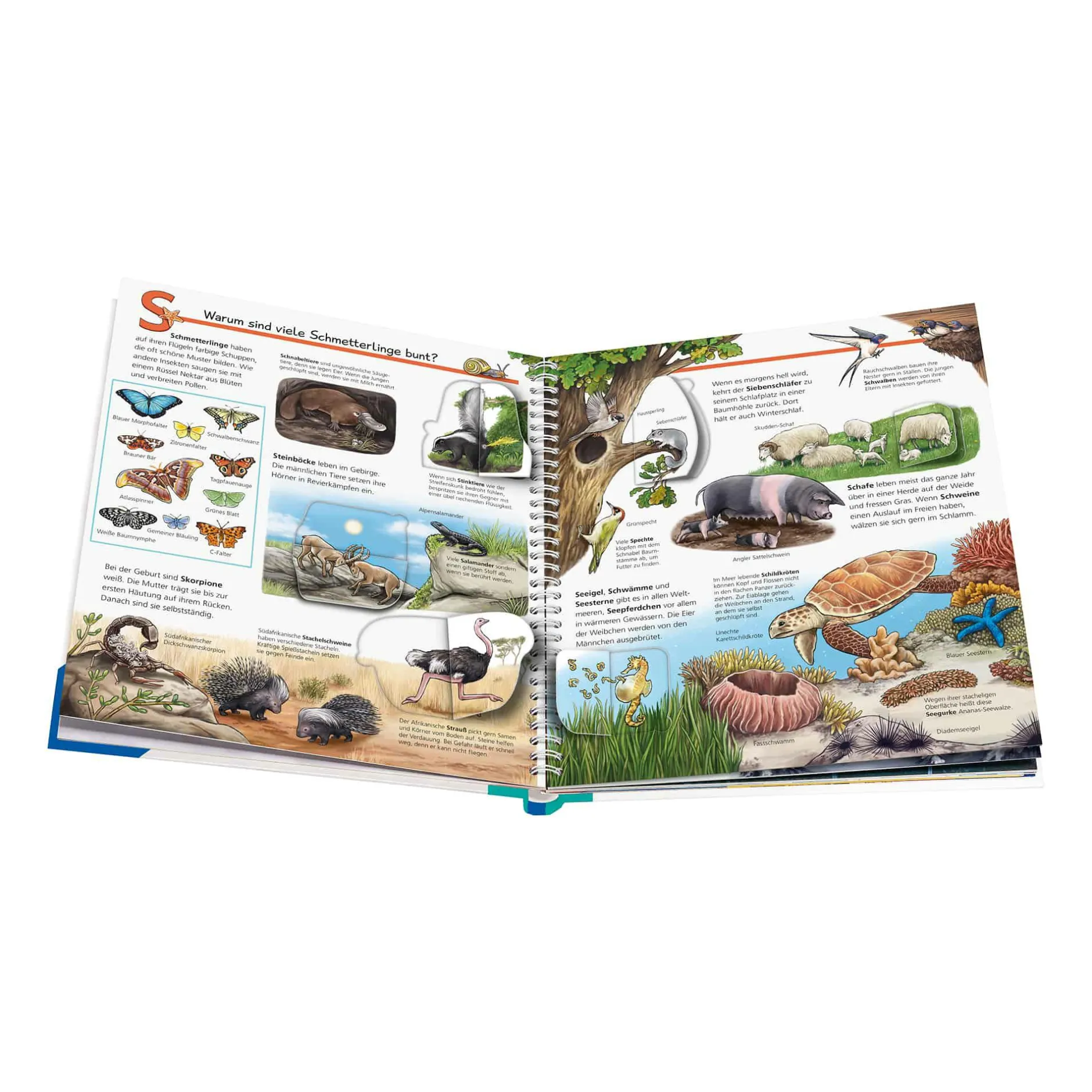 Ravensburger Wieso? Weshalb? Warum? Mein ABC der Tiere*Kinder Kinderbücher