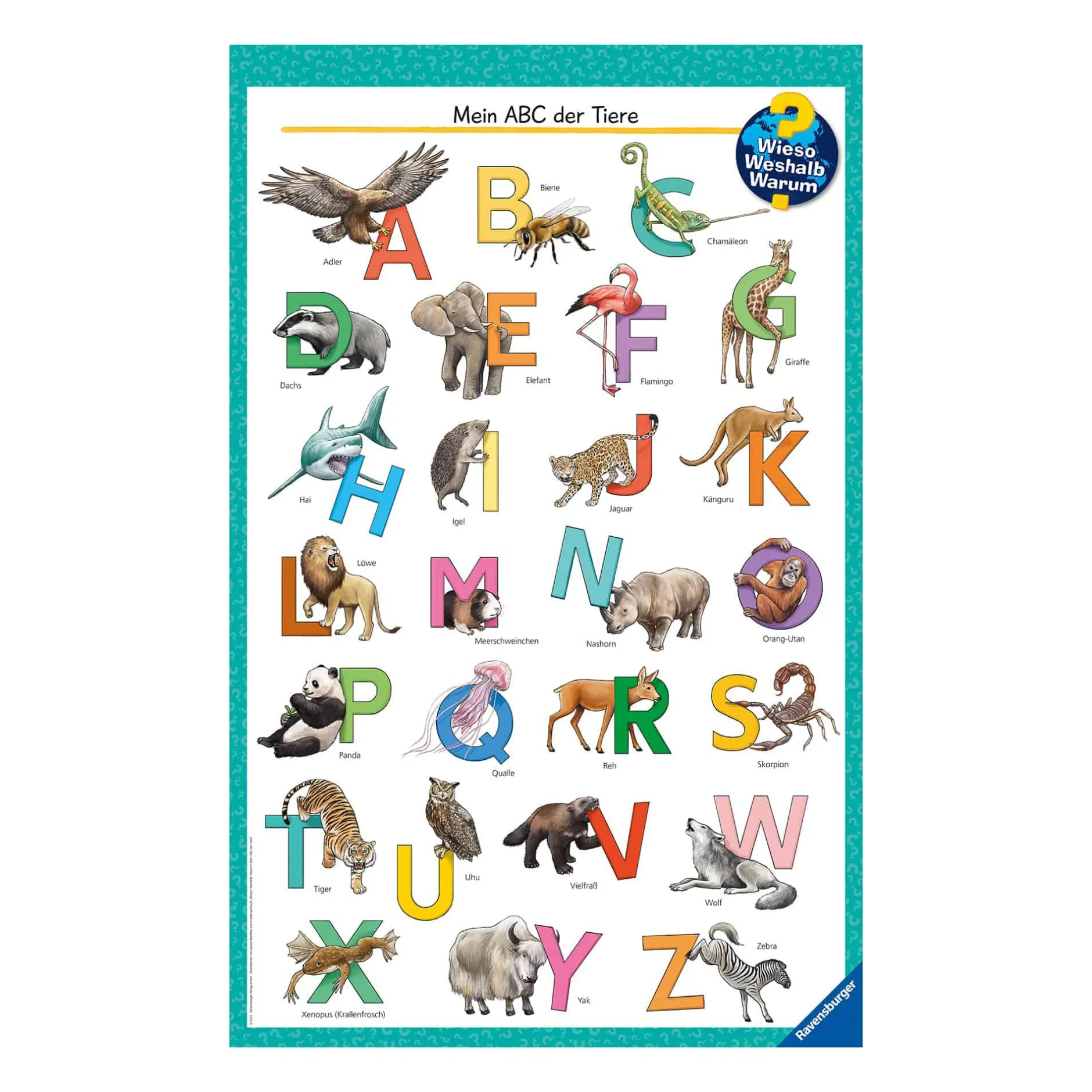 Ravensburger Wieso? Weshalb? Warum? Mein ABC der Tiere*Kinder Kinderbücher