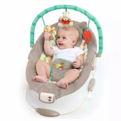 DISNEY baby Wippe Winnie the Pooh* Wippen