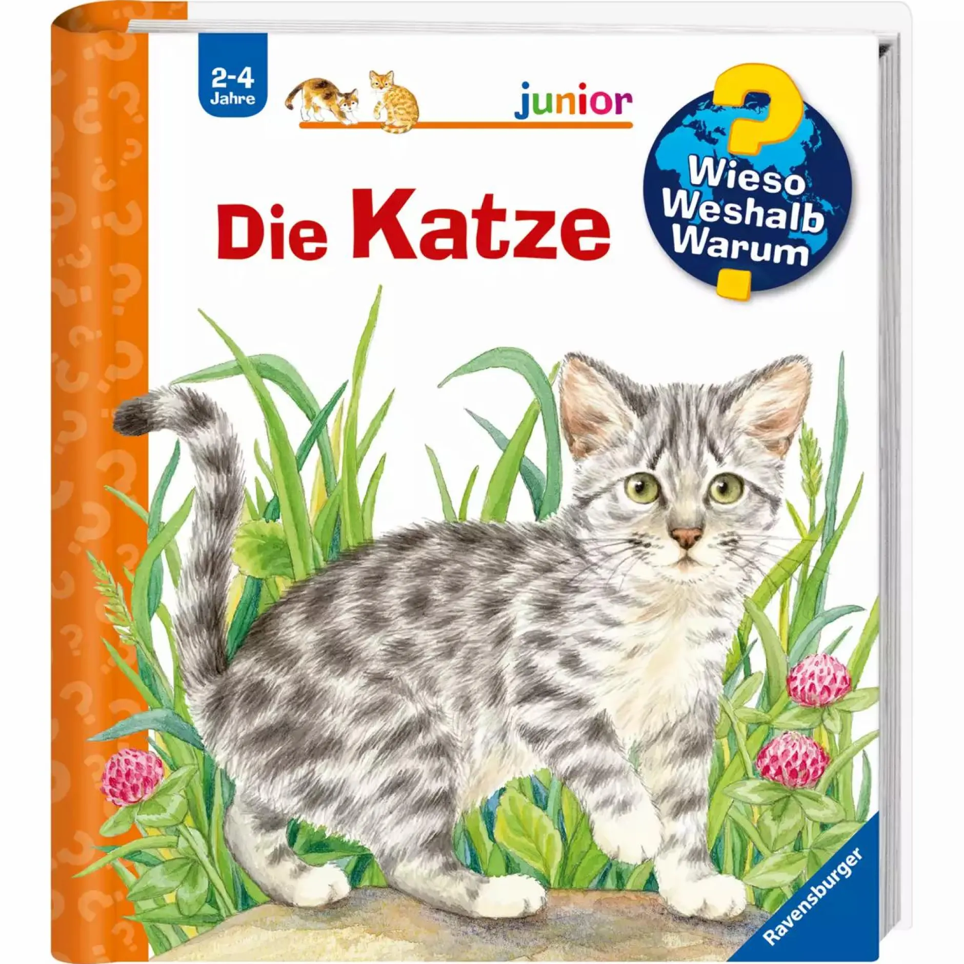 Ravensburger WWW junior Die Katze*Kinder Kinderbücher|Spielzeug Ab 2 Jahre